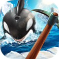Winter Raft(冬季竹筏生存)
