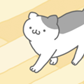 猫咪很可爱游戏
