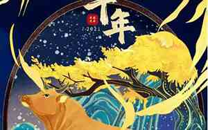 2021辛丑年运势分析
