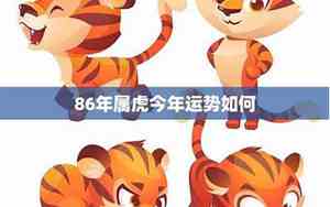 属虎家庭运势分析吉凶