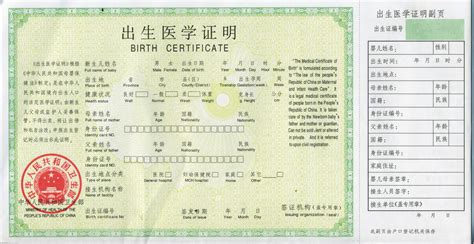 八字借根(八字中的借根是什么意思)