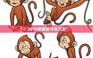 99年属猴