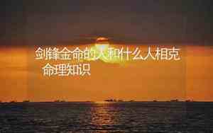 属鸡1993剑锋金命详解
