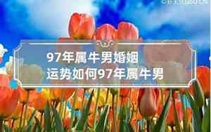 1997年属牛水瓶座男