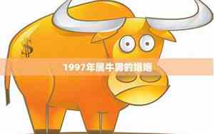 丑牛1997什么命