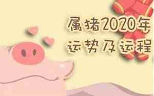 2017属猪下月爱情运势怎么样