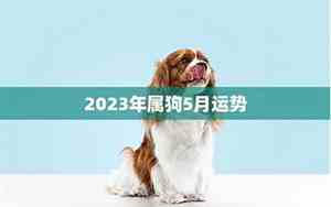 2006年属狗的每月运势