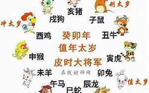 2019十二生肖每月每日运程