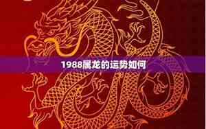 1988年龙的运势2024年