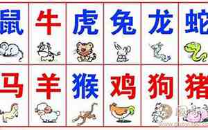 12生肖顺序表图片大全阿拉伯数字