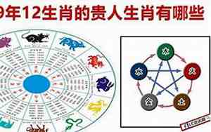 什么生肖运势起来最好