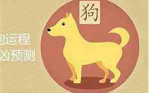1970属狗男2021年运势及运程每月运程