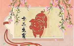 1983属猪的明年的运势