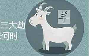 1991年属羊的是什么命金木水火土