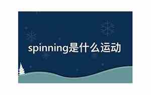 洗衣机spin是什么意思