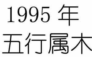 1995年是什么命五行属什么