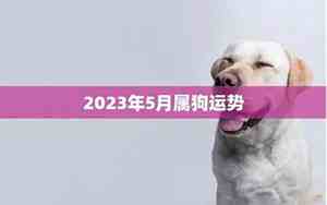 2017属狗的人今年财运