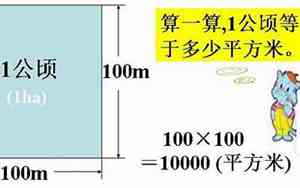 1000平米是多少亩怎么算
