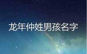 仲姓男孩起名大全