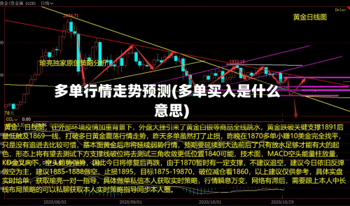 多单行情走势预测(多单买入是什么意思)-第2张图片