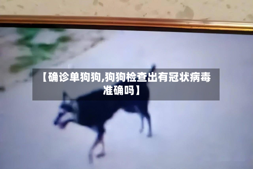 【确诊单狗狗,狗狗检查出有冠状病毒准确吗】