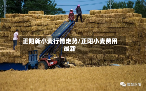 正阳新小麦行情走势/正阳小麦费用最新-第2张图片