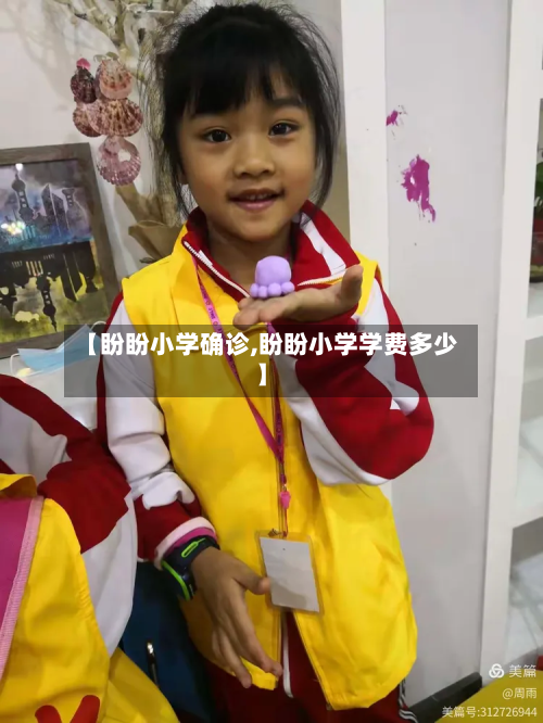 【盼盼小学确诊,盼盼小学学费多少】