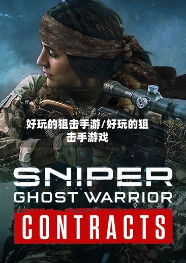 好玩的狙击手游/好玩的狙击手游戏
