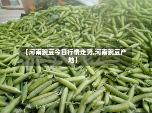 【河南豌豆今日行情走势,河南豌豆产地】