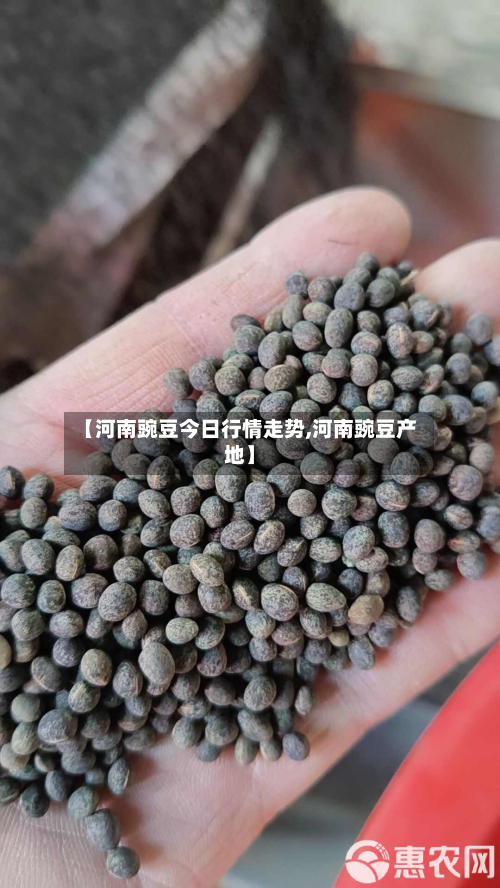 【河南豌豆今日行情走势,河南豌豆产地】-第3张图片
