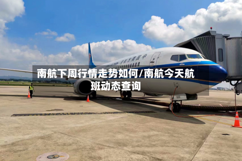 南航下周行情走势如何/南航今天航班动态查询-第3张图片