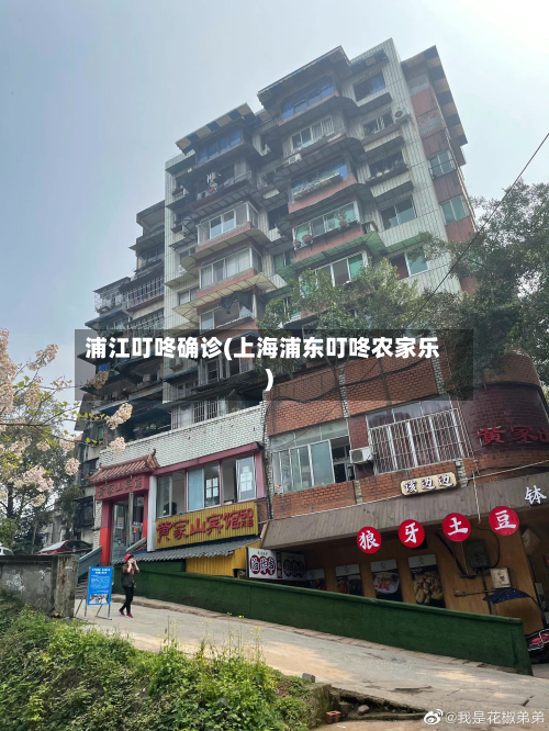 浦江叮咚确诊(上海浦东叮咚农家乐)-第2张图片
