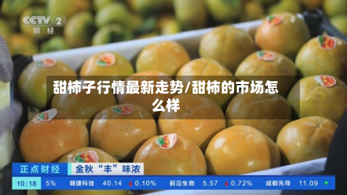 甜柿子行情最新走势/甜柿的市场怎么样-第2张图片