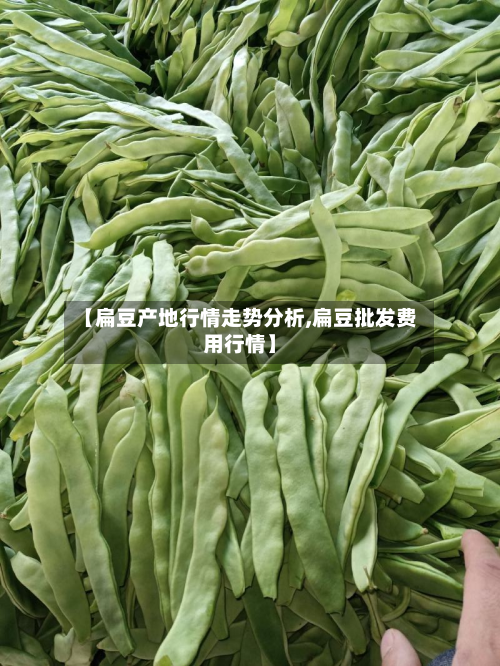 【扁豆产地行情走势分析,扁豆批发费用行情】-第3张图片