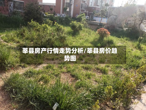 莘县房产行情走势分析/莘县房价趋势图-第2张图片
