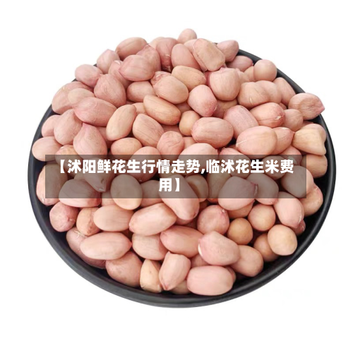 【沭阳鲜花生行情走势,临沭花生米费用】-第2张图片