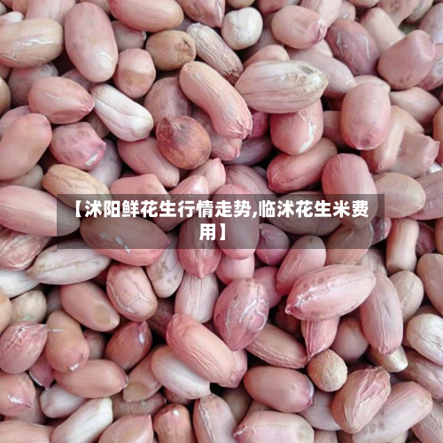 【沭阳鲜花生行情走势,临沭花生米费用】-第3张图片