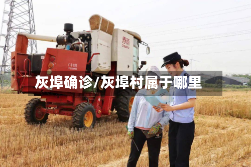 灰埠确诊/灰埠村属于哪里-第2张图片