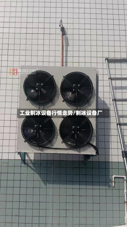 工业制冰设备行情走势/制冰设备厂