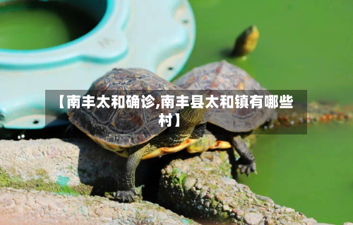 【南丰太和确诊,南丰县太和镇有哪些村】