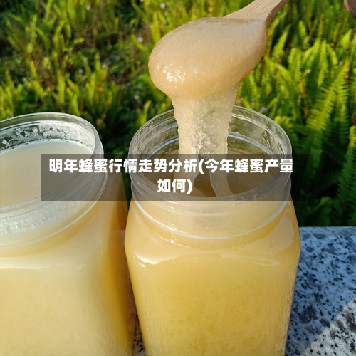 明年蜂蜜行情走势分析(今年蜂蜜产量如何)-第3张图片