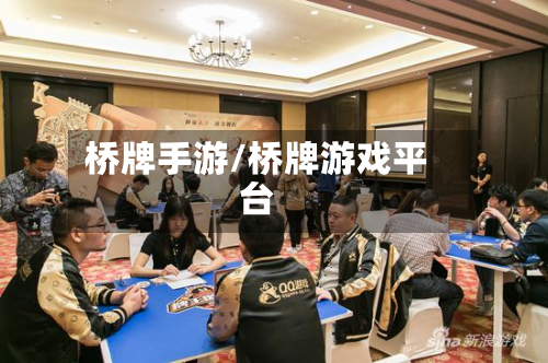 桥牌手游/桥牌游戏平台-第2张图片