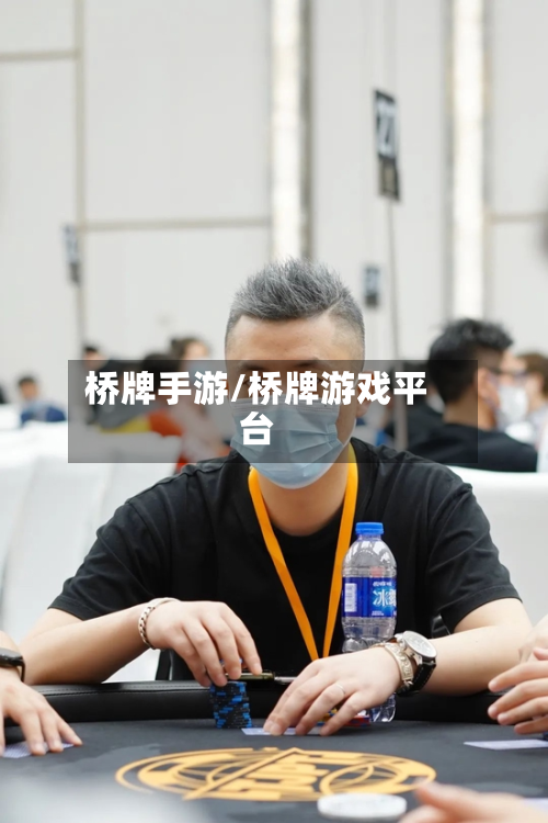 桥牌手游/桥牌游戏平台-第3张图片