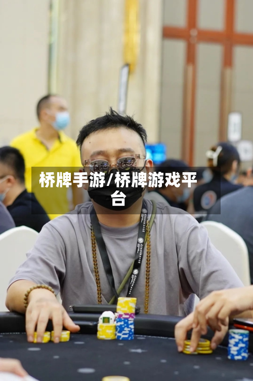 桥牌手游/桥牌游戏平台