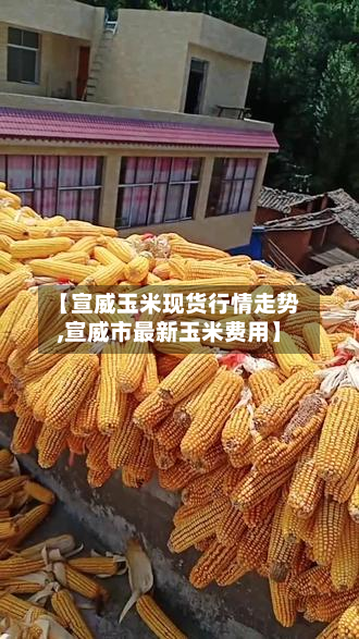 【宣威玉米现货行情走势,宣威市最新玉米费用】
