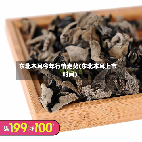 东北木耳今年行情走势(东北木耳上市时间)-第3张图片