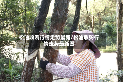 松油收购行情走势最新/松油收购行情走势最新图-第2张图片