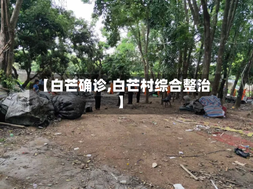 【白芒确诊,白芒村综合整治】-第2张图片