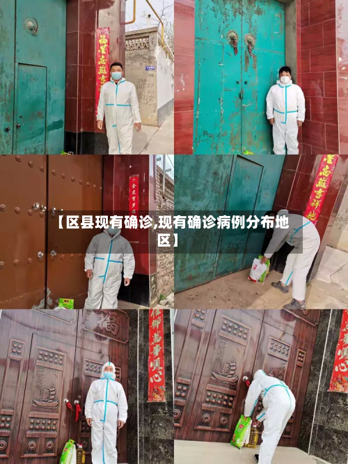 【区县现有确诊,现有确诊病例分布地区】