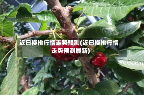 近日樱桃行情走势预测(近日樱桃行情走势预测最新)-第2张图片